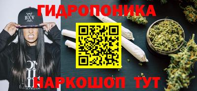СК Краснознаменск
