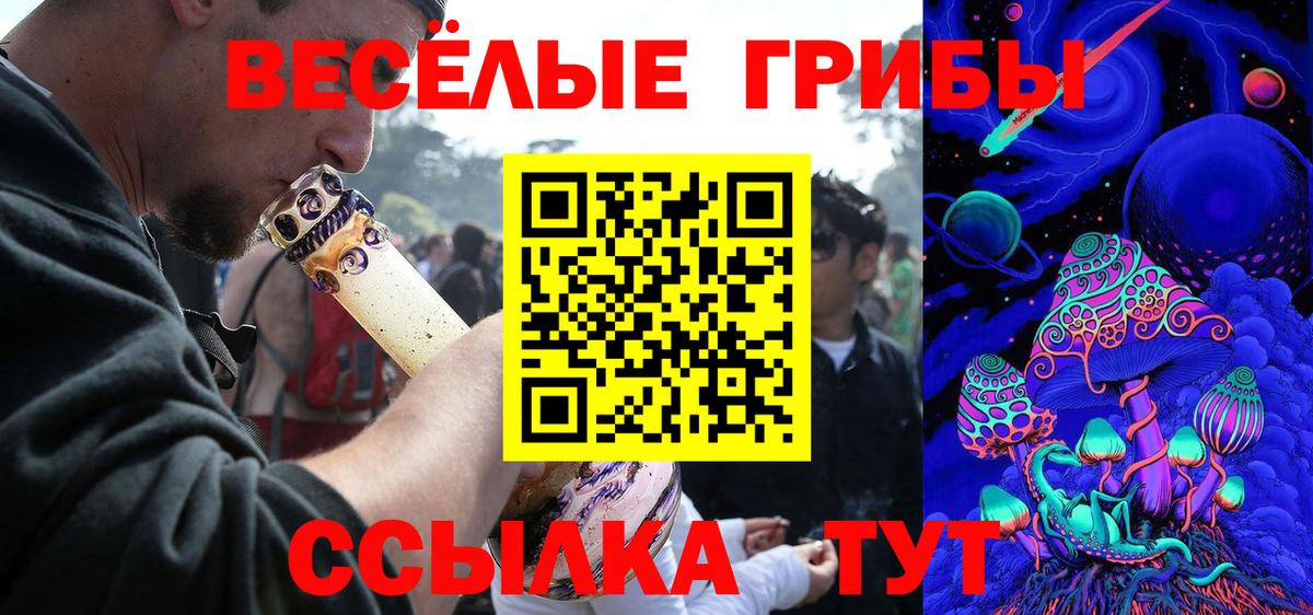 Коркино  где продают   Вход с VPN  Псилоцибиновые грибы GOLDEN TEACHER  Галлюциногенные грибы ЛСД 