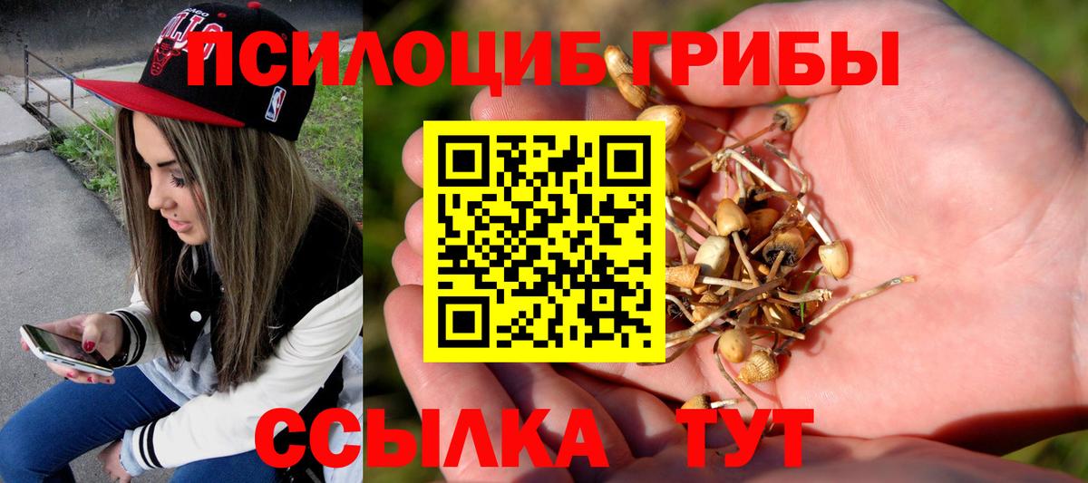 Псилоцибиновые грибы мухоморы Коркино
